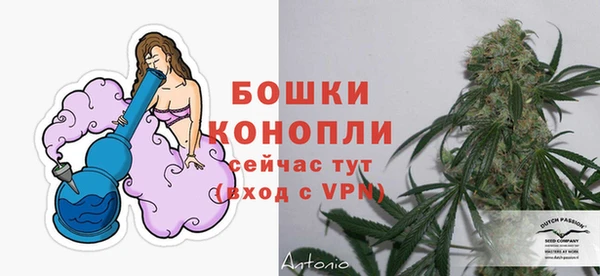 первитин Богданович