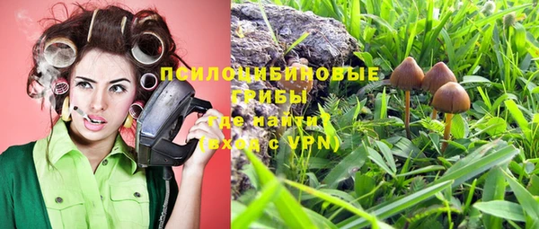 твердый Богородск