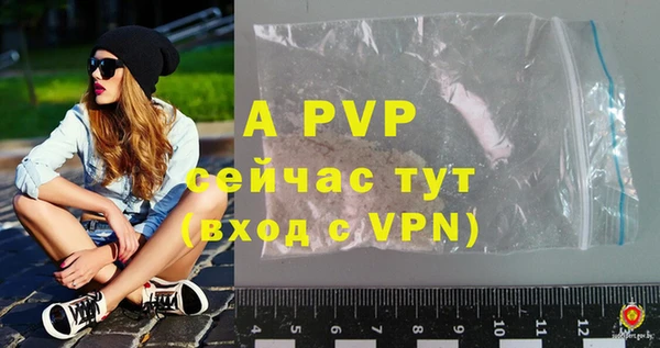 первитин Богданович