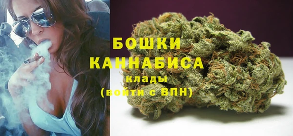 твердый Богородск