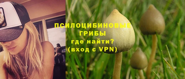 первитин Богданович