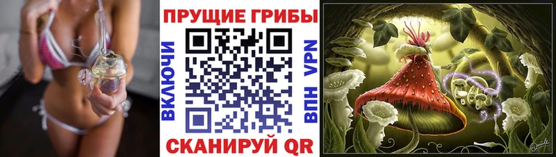 Псилоцибиновые грибы Magic Shrooms  мориарти какой сайт  Кириллов 